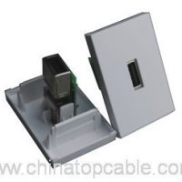 HDMI wall plate with Horizontal one port