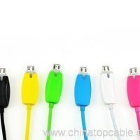 LED Lightning zoustänneg Synchroniséiert Mikro USB Cable 4