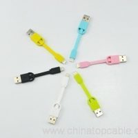 Mini Apple Walƙiya Keychain USB Cable 2