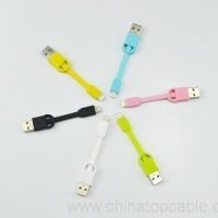 Мини Apple-ийн Lightning түлхүүрийн оосор USB кабель 2