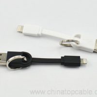 ਮਿੰਨੀ ਐਪਲ ਬਿਜਲੀ Keychain USB ਕੇਬਲ 4