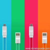微型 USB 电缆与领导光为 iphone 的 5 55s c 6 6 加号 4