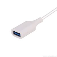 USB tipo c-to-usb-a-adapteris-12