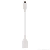 USB tipo c-to-usb-a-adapteris-13